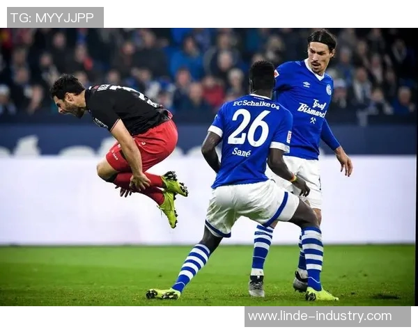 沙尔克04客场击败弗赖堡,德甲前十再现辉煌!